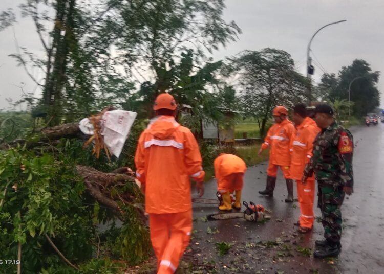 Respon Cepat! Babinsa Benjeng Tanggap Darurat Atasi Pohon Tumbang di Jalan Raya