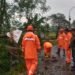 Respon Cepat! Babinsa Benjeng Tanggap Darurat Atasi Pohon Tumbang di Jalan Raya