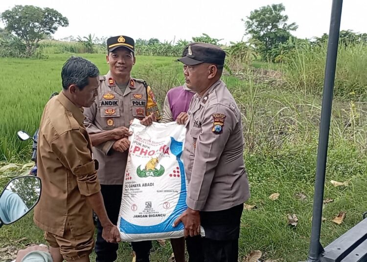 Dukung Ketahanan Pangan, Polsek Cerme Salurkan Bantuan Pupuk untuk Petani