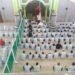 Jelang Ujian Akhir Sekolah, Ponpes Alkarimi Gresik Gelar Istighosah dan Doa Bersama