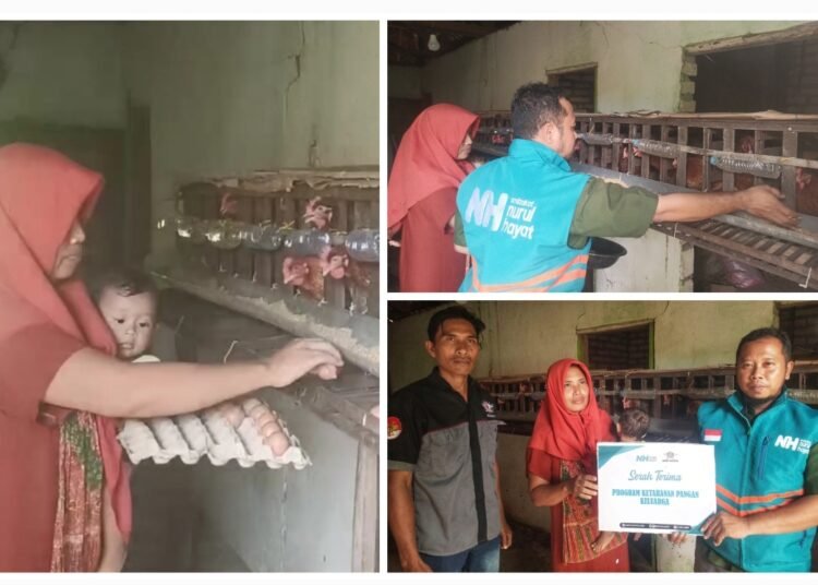Ekonomi Sulit, Janda 3 Anak Dapat Bantuan Puluhan Ayam Petelur dari Hamba Allah
