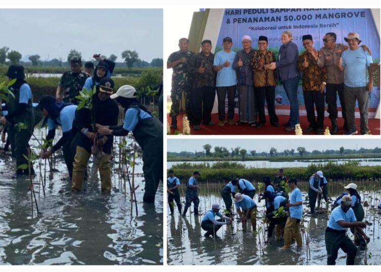 Gandeng Freeport, Pemdes Karangrejo Manyar Tanam 10 Ribu Mangrove Demi Jaga Ekosistem Perairan