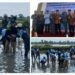 Gandeng Freeport, Pemdes Karangrejo Manyar Tanam 10 Ribu Mangrove Demi Jaga Ekosistem Perairan