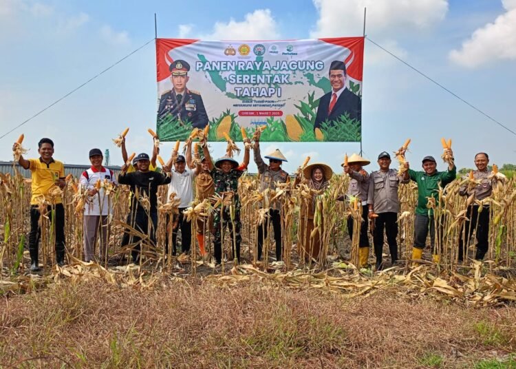 Polres Gresik Dukung Penuh Panen Raya Jagung di Desa Karangandong Driyorejo