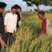 Sayang Petani, Pemuda Desa Gredek Pastikan Harga Jual Gabah Rp 6.500 per Kilogram