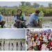 Jooss !! Freeport Indonesia Tanam 50 Ribu Mangrove Tingkatkan Kesejahteraan Masyarakat Gresik Pesisir