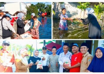 Terjang Banjir di Desa Bungah, Mbak Nila DPR Pusat Berikan Bantuan Beras, Makanan Siap Saji, dan Obat-Obatan
