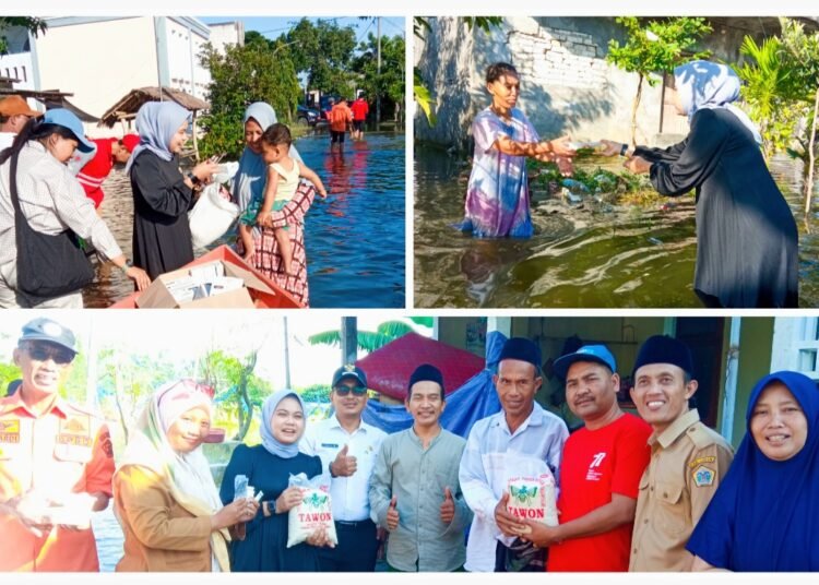 Terjang Banjir di Desa Bungah, Mbak Nila DPR Pusat Berikan Bantuan Beras, Makanan Siap Saji, dan Obat-Obatan