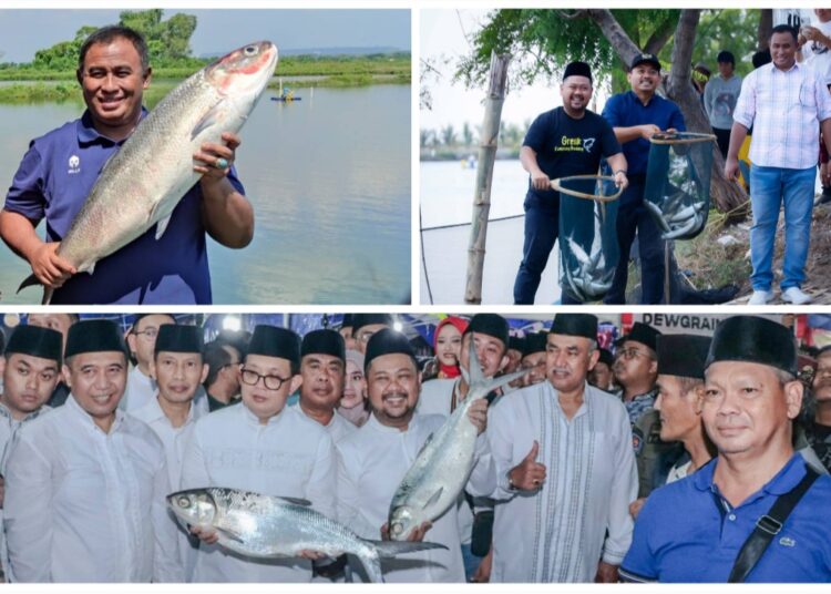 Jangan Lewatkan Malam Ini Gelaran Kontes Bandeng Kawak 2025: Bagikan Ribuan Bandeng Gratis untuk Masyarakat Gresik