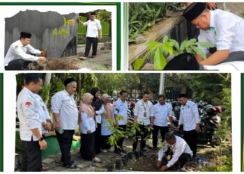 Kemenag Gresik Gaungkan Ekoteologi dalam Aksi Gerakan Tanam 1 Juta Pohon Matoa: Menjaga Bumi adalah Bagian dari Ibadah