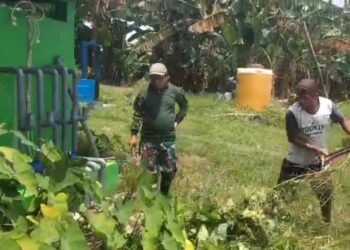 Hadir untuk Rakyat, Babinsa Dukun Dukung Ketahanan Pangan Melalui Pembersihan Saluran Irigasi
