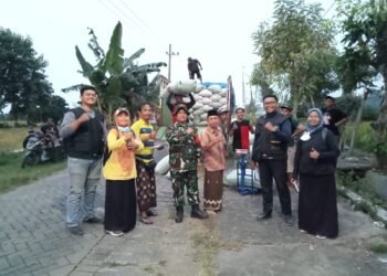 Satgas Swasembada Pangan Bersama Babinsa Bungah Dampingi Serapan Gabah Petani di Desa Sidokumpul
