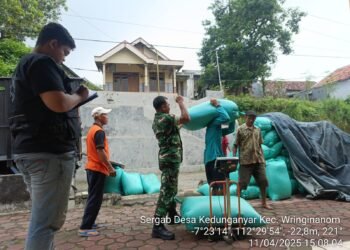 Babinsa Wringinanom Komitmen Kawal Hasil Panen Petani di Desa Kedunganyar