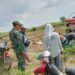 Babinsa Driyorejo Turun ke Sawah Dampingi Penyerapan Gabah Petani di Desa Banjaran
