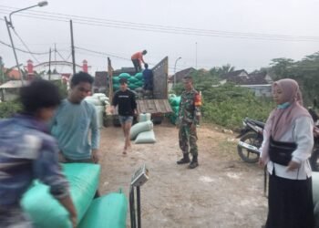 Sertu Prayogo Babinsa Bungah Tak Kenal Lelah Dampingi Serapan Gabah Petani di Desa Sidokumpul