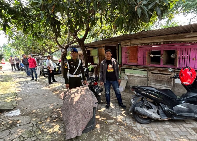 Respon Cepat Aduan Warga, Kapolsek Kebomas Turun Langsung Grebek Lokasi Diduga Tempat Judi Sabung Ayam di Gresik