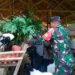 Jelang Idul Kurban, Babinsa Koramil 0817/04 Menganti Dampingi Peternak Kambing di Desa Beton