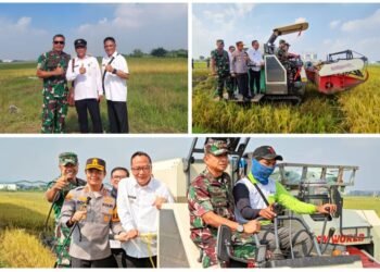 Dandim Hadiri Panen Raya Serentak di 14 Provinsi Bersama Presiden RI melalui Zoom Meeting di Kabupaten Gresik