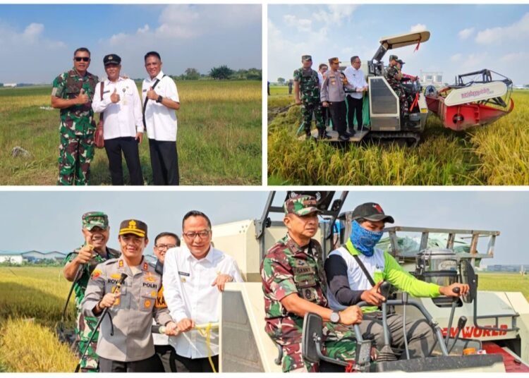 Dandim Hadiri Panen Raya Serentak di 14 Provinsi Bersama Presiden RI melalui Zoom Meeting di Kabupaten Gresik