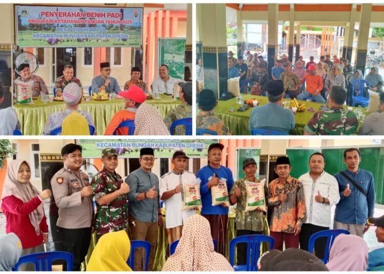 Sukses Panen Melimpah, Petani Desa Sidokumpul Bungah Terima Bantuan Benih Padi Program Ketahanan Pangan 2025