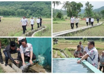 Turun ke Sawah Bawean, Wabup Gresik Tegaskan Kesejahteraan Petani Jadi Prioritas