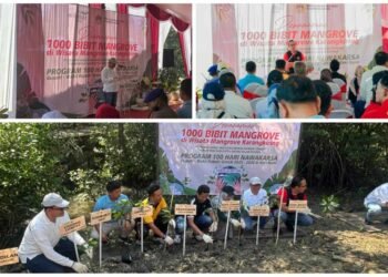 Wabup Gresik Tanam 1000 Pohon Mangrove di Kawasan Wisata Karangkiring Kolaborasi DLH dan PT Wilmar
