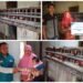 Berkat Bantuan Ayam Petelur dari Nurul Hayat, Janda Tiga Anak di Dalegan Panceng Kini Bisa Mencukupi Kebutuhan Keluarga dan Biaya Sekolah