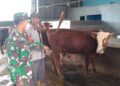 Jelang Idul Kurban, Babinsa Duduksampeyan Gelar Komsos Bersama Peternak Sapi di Desa Sumari