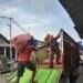 Tak Kenal Hari Libur, Babinsa Desa Sembung Wringinanom Penuh Semangat Dampingi Penyerapan Gabah Petani