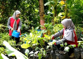 Semen Gresik Berhasil Serap 20 Ribu Tenaga Kerja Melalui Inovasi Program Pengelolaan Lingkungan dan Sosial Masyarakat