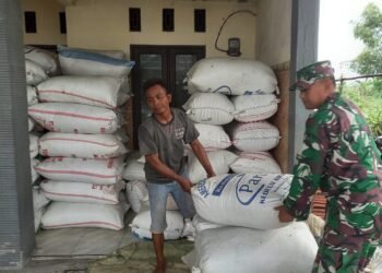 Tak Hanya Mendampingi, Babinsa pun Turut Bantu Angkat Gabah Hasil Panen Petani Desa Katimoho Kedamean