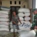 Tak Hanya Mendampingi, Babinsa pun Turut Bantu Angkat Gabah Hasil Panen Petani Desa Katimoho Kedamean