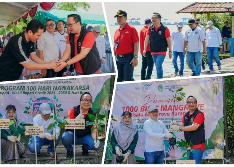 Wujudkan Program 100 Hari Nawakarsa, Pemkab Gresik Gandeng PT Wilmar Hijaukan Kawasan Mangrove Karangkiring