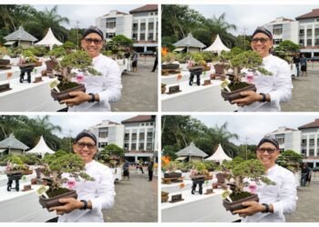 Di Balik Gelaran Giri Kedaton Bonsai Tingkat Nasional, Gus Sonhaji: Tanaman Bonsai itu Sarat Makna Kehidupan