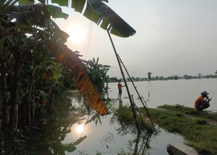 Bengawan Solo Meluap, Bencana Banjir Terjang Kaliagung Tiremenggal Dukun