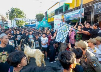 Semangat Idul Kurban, Plt Bupati Gresik Buka Acara Tradisi Tahunan Bertajuk “Culture and Tradition Eid Adha 2025”