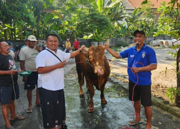 Sumbang Sapi, Kades Kesamben Wetan Driyorejo Ajak Warga Jadikan Iduladha sebagai Lentera Hati untuk Perbaiki Diri, Pererat Persaudaraan, dan Berbagi Kebaikan