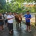 Sumbang Sapi, Kades Kesamben Wetan Driyorejo Ajak Warga Jadikan Iduladha sebagai Lentera Hati untuk Perbaiki Diri, Pererat Persaudaraan, dan Berbagi Kebaikan