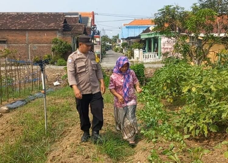 Dukung Ketahanan Pangan, Polsek Cerme Tinjau Tanaman Sawi dan Terong di Pekarangan Warga Desa Ngabetan