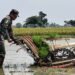 Babinsa Ujungpangkah Aktif Turun ke Sawah sebagai Garda Terdepan Ketahanan Pangan