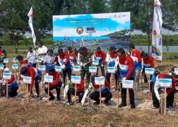Kodim 0817/Gresik Dukung Aksi Penanaman 120.000 Mangrove di Desa Pangkah Wetan
