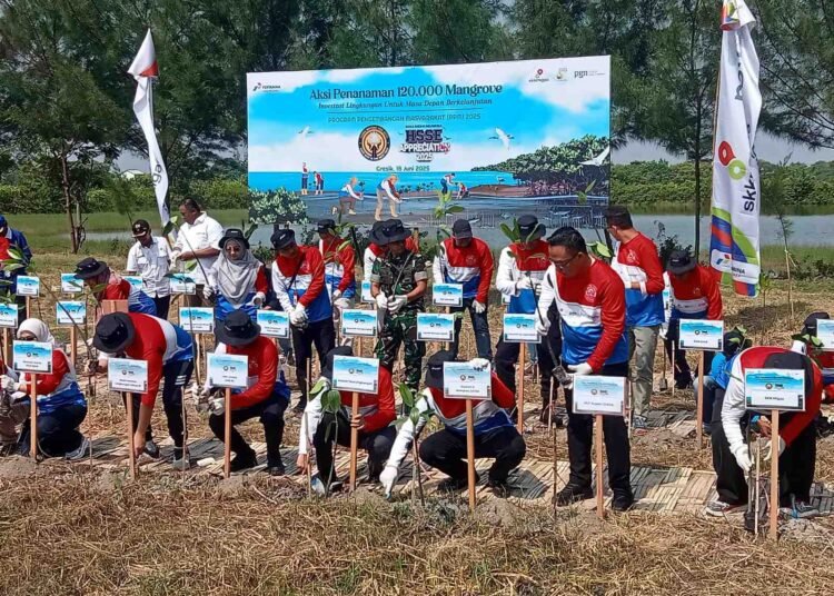 Kodim 0817/Gresik Dukung Aksi Penanaman 120.000 Mangrove di Desa Pangkah Wetan