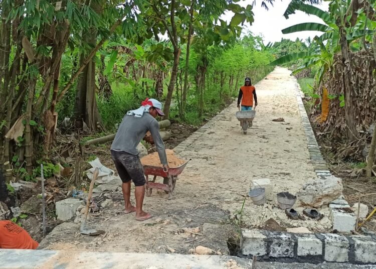 Bertabur Pembangunan, Pemdes Tiremenggal Dukun Bangun Jalan Usaha Tani dan 2 Lapangan Bola Voli
