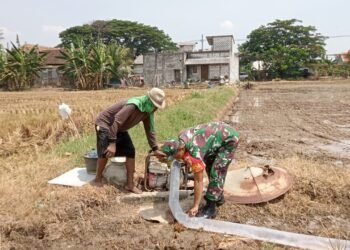 Babinsa Koramil 0817/16 Dukun Dampingi Warga dalam Program Ketahanan Pangan di Desa Lowayu