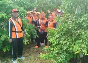 Berkah Wisata Petik Buah, Pengalangan Menganti Dinobatkan sebagai Desa Berdaya Provinsi Jawa Timur