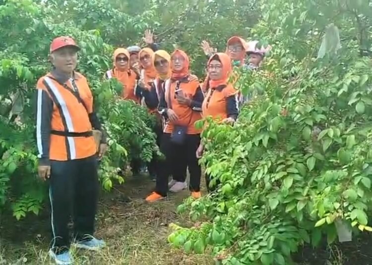 Berkah Wisata Petik Buah, Pengalangan Menganti Dinobatkan sebagai Desa Berdaya Provinsi Jawa Timur