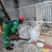 6 Warga Terserang Demam Berdarah, Pemdes Sekarkurung Kebomas Fogging Serentak