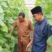 Ikhtiar Sejahterakan Warga, Pemdes Suci Manyar Buat Green House Melon Dongkrak PADes