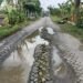 Rusak Parah !! Kades Ngampel Balongpanggang Desak Pemkab Gresik Segera Lakukan Perbaikan