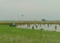 Berkat Pemdes Bangun 7 Titik JUT, Petani Desa Gredek Duduksampeyan Sumringah Bisa Panen Tiga Kali Setahun